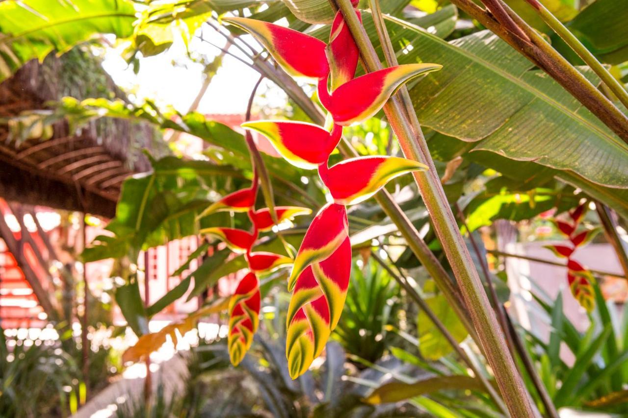 Pousada Palmeira Imperial Araquari Zewnętrze zdjęcie